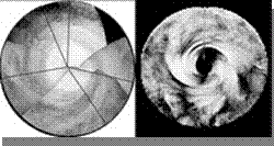 Venus south pole